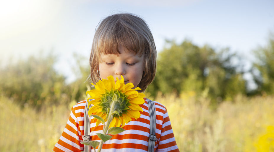 Junge betrachtet Sonnenblume